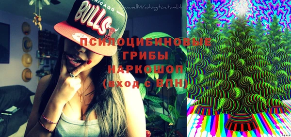 дживик Армянск