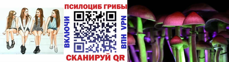 Купить закладки  Сосновоборск  Галлюциногенные грибы мицелий 